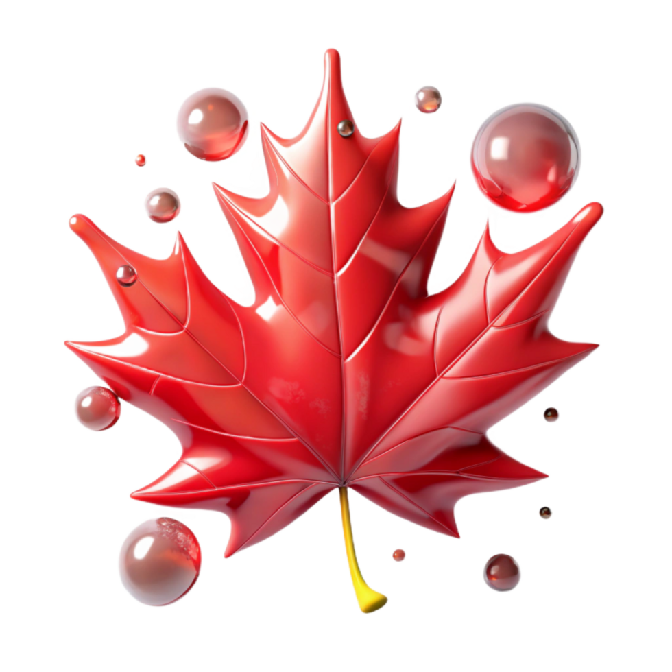elegant rustic Red Maple Leaf with Texture Transparent Background authentic png