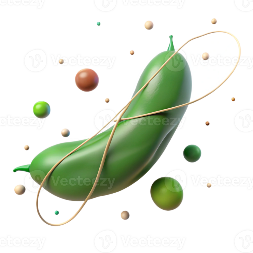 vibrant creative Single Green Bean Isolated with String genuine png