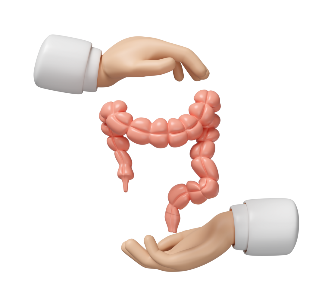 3d doctor hands protecting colon isolated. check colon health, organs concept, 3d illustration render png