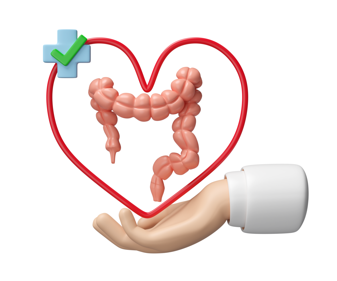 3d hands holding colon with heart, cross, check mark isolated. check colon health, constipation concept, 3d illustration render png