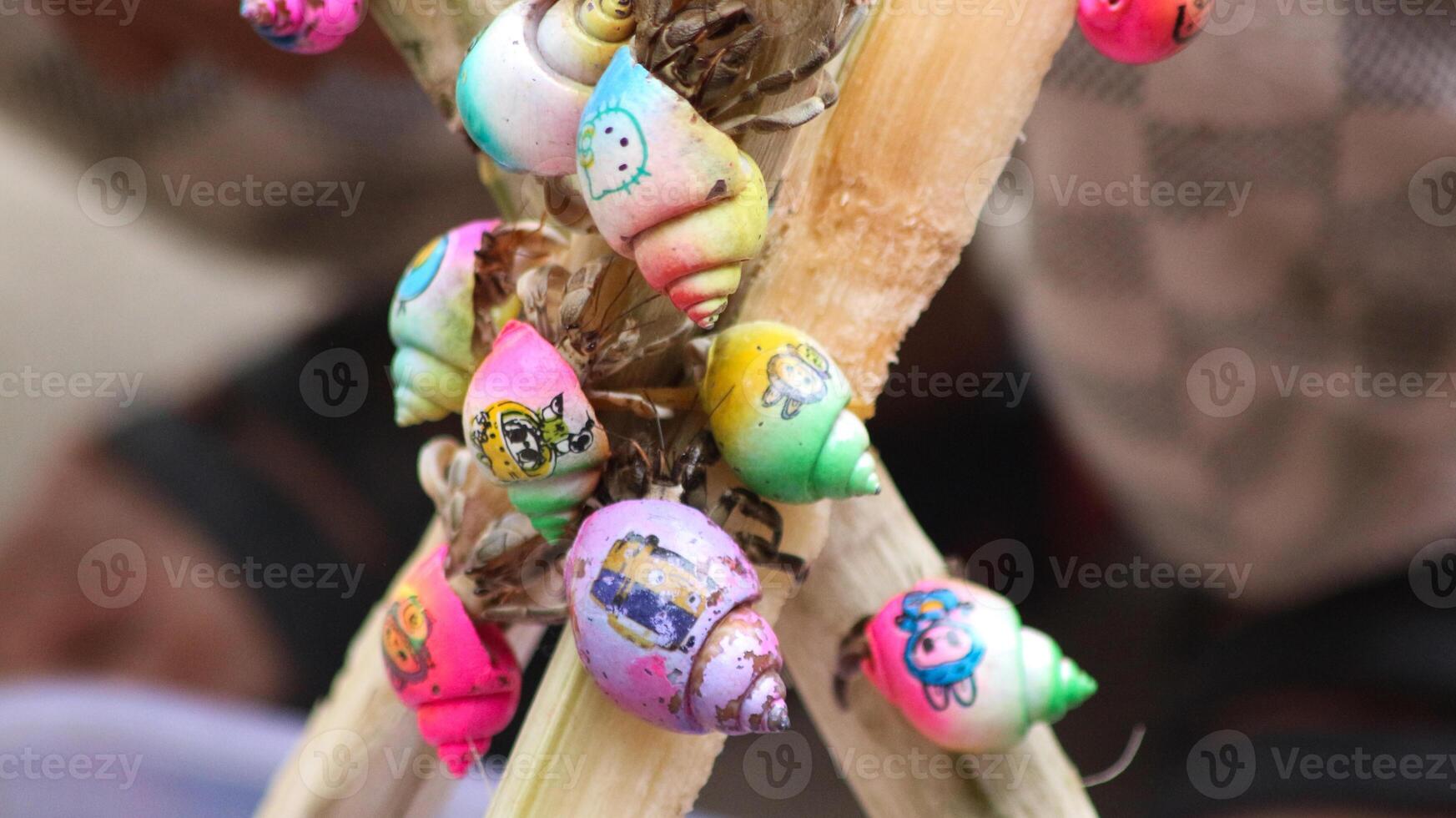 Colorful Hermit Crabs or Umang Umang or pompong, photo