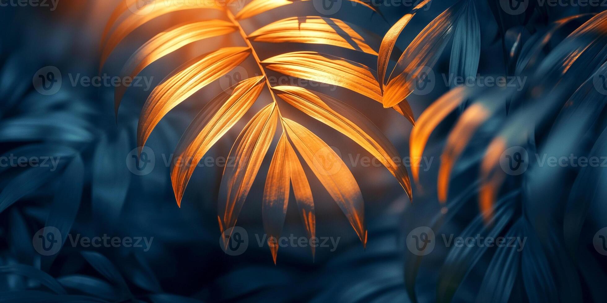 Close-up of lush tropical leaves illuminated by warm golden light, creating a striking contrast in a tranquil setting. photo