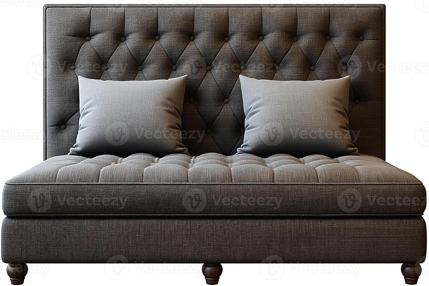 Elegant gray tufted sofa with two decorative pillows, perfect for modern living spaces. photo