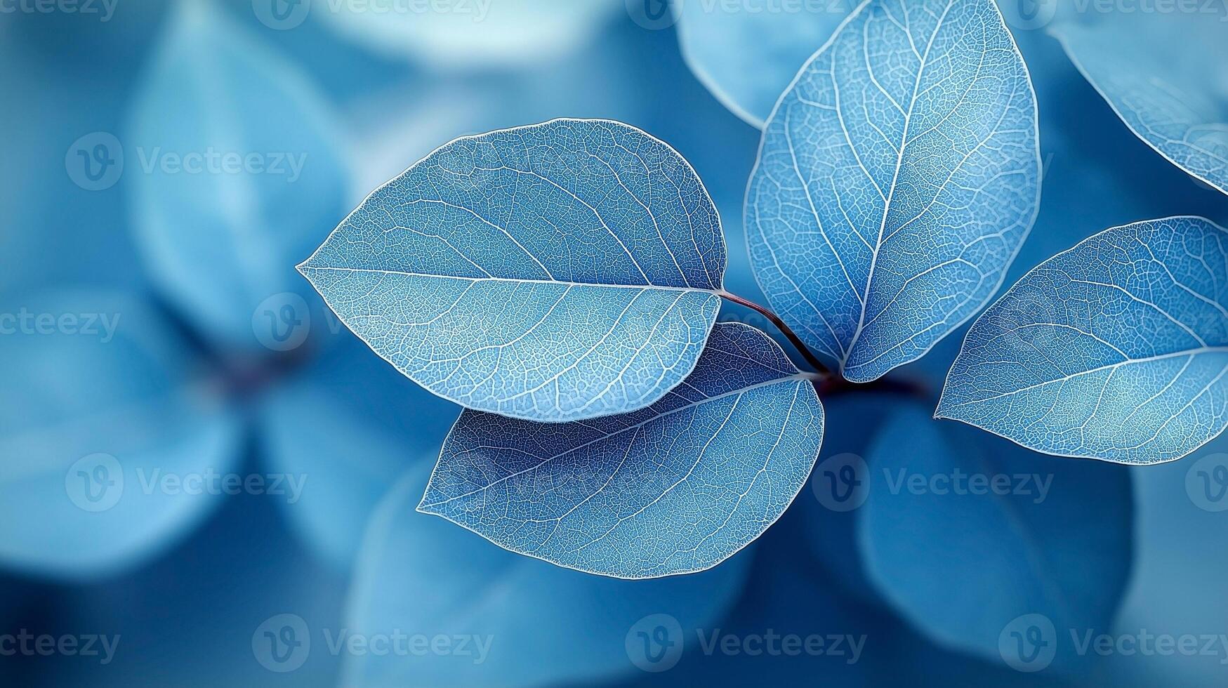 Delicate blue leaves with intricate veins, creating a tranquil and serene atmosphere in soft hues. photo