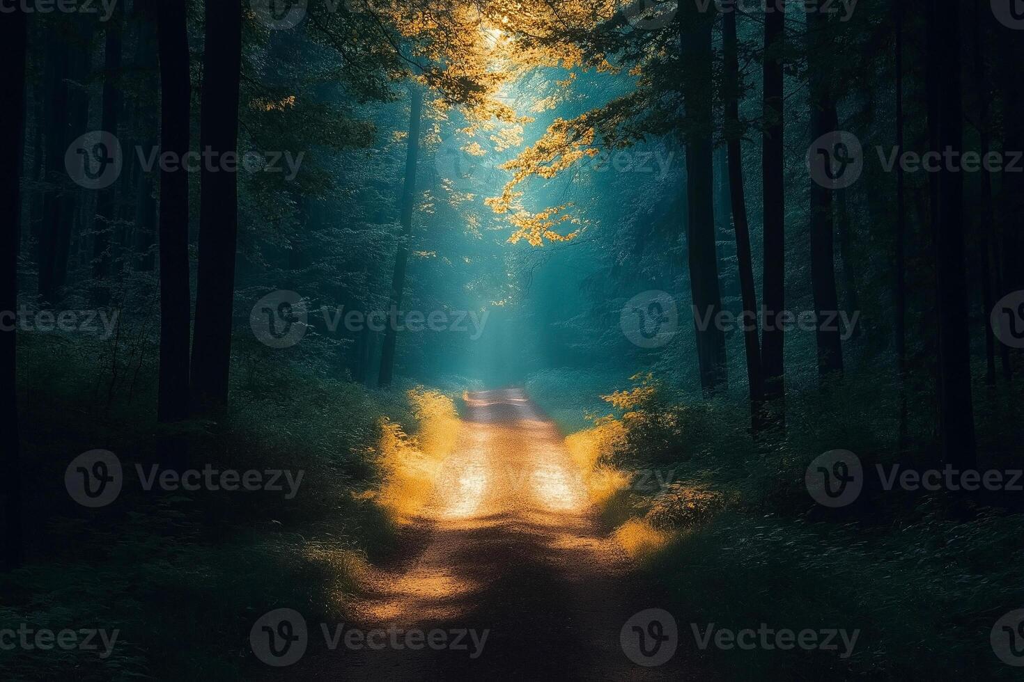 A serene forest path bathed in golden light, evoking a sense of tranquility and natural beauty. photo