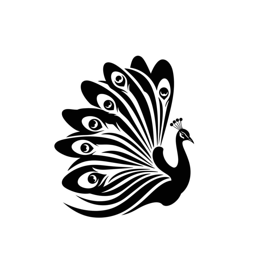 A black and white peacock logo vector
