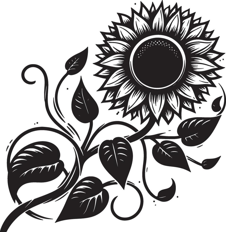 Illustrated sunflower with leaves and vines in black and white on a plain white background vector