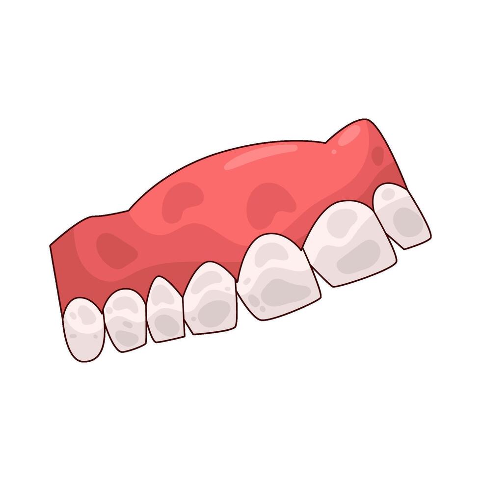 illustration of human tooth vector