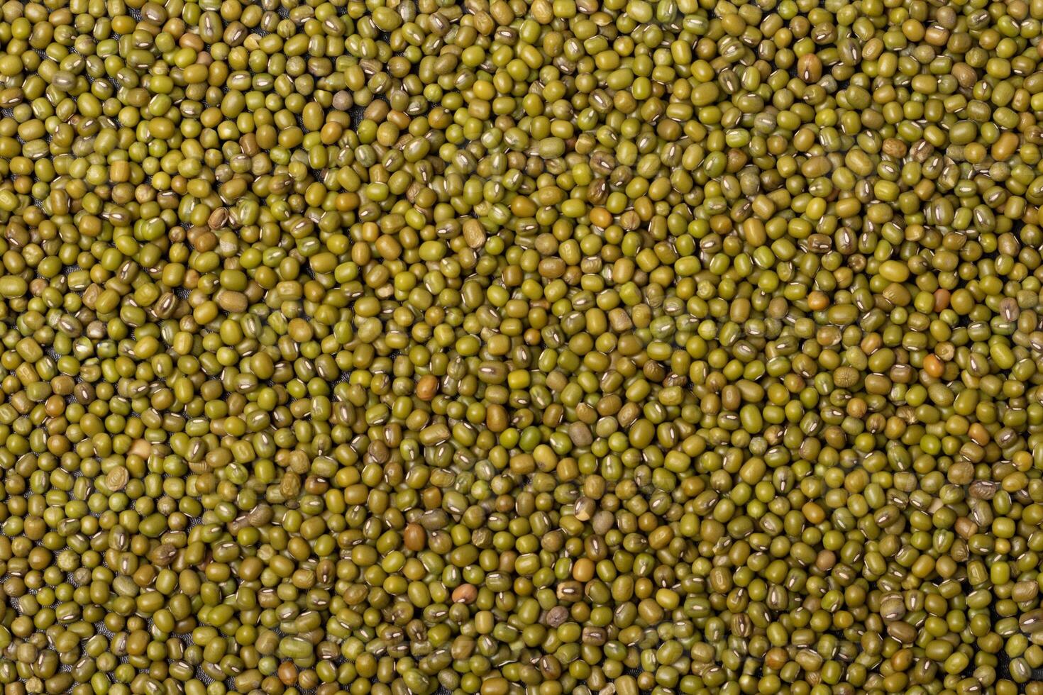 Mung seeds close up texture pattern background photo