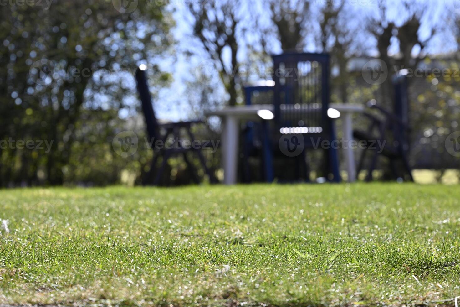 Serene Garden with Table and unsharped Chairs photo