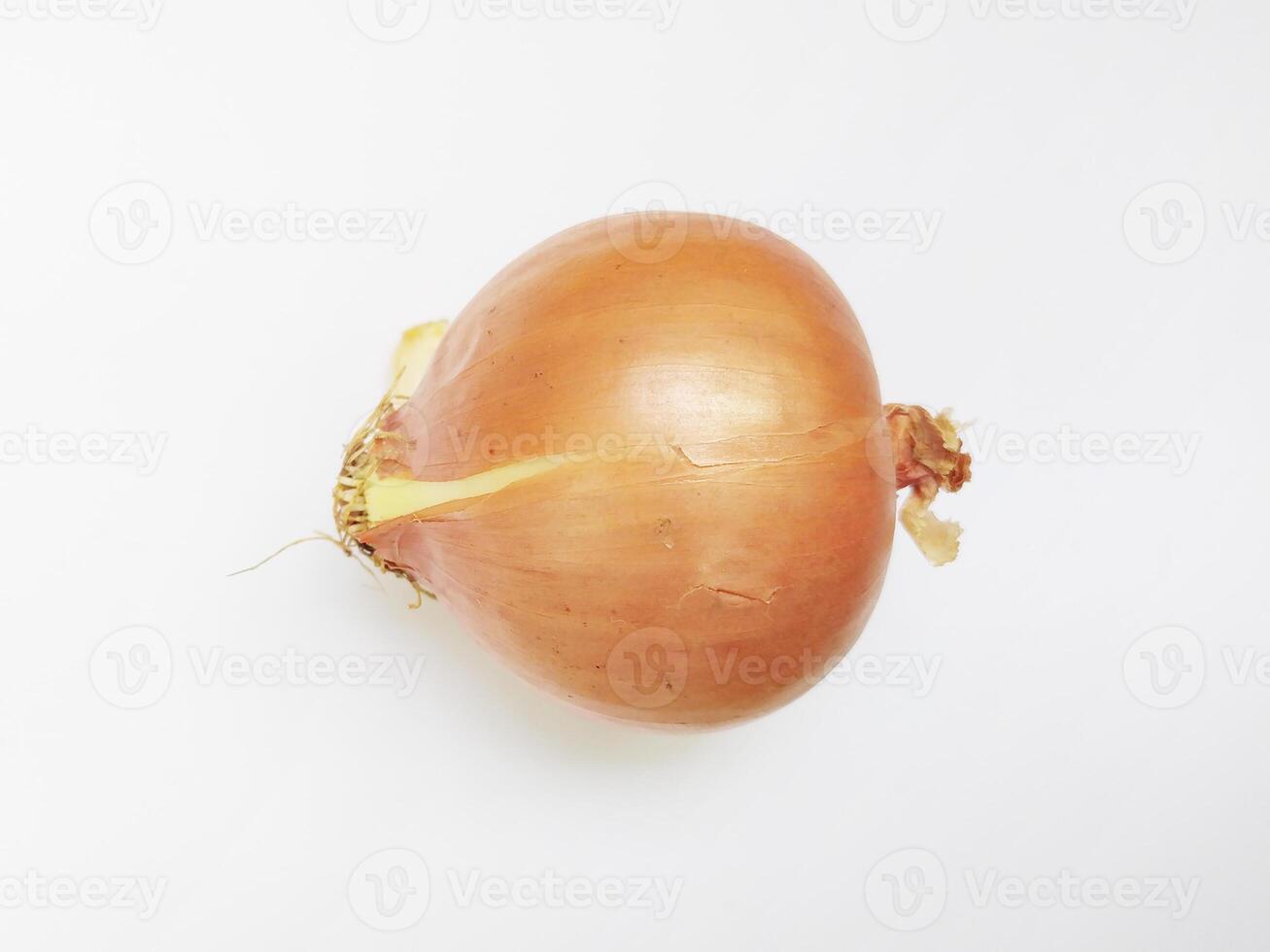 A single, pale yellow onion sits on a pristine white background. Its slightly imperfect skin adds a touch of rustic charm, suggesting freshness and natural growth. photo