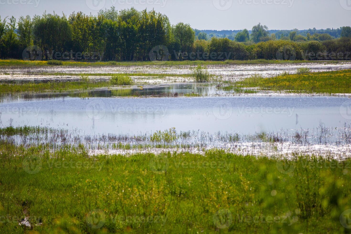 A large body of water is surrounded by a field of grass. photo