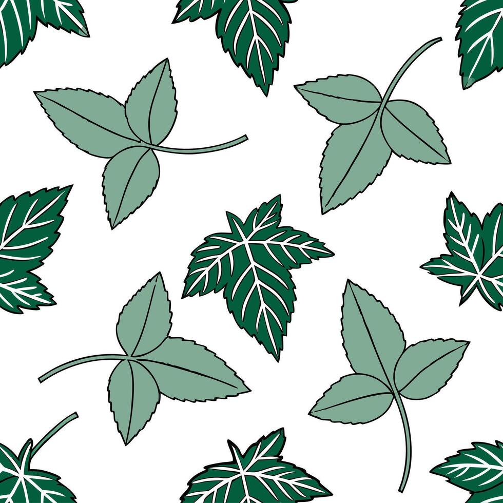 Flat Refreshing summer leaves seamless tile pattern with mint and ivy for a clean fresh feel concept as Clean and fresh mint and ivy leaves arranged seamlessly to create a refreshi Clean Pro vector