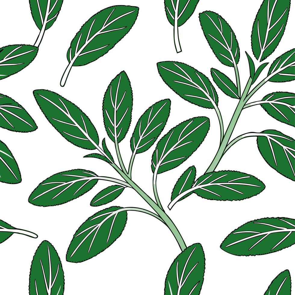Flat Vibrant green sage leaves seamless pattern with overlapping leaves and natural textures on white backdrop concept as Overlapping vibrant green sage leaves with natural texture Clean Pro vector