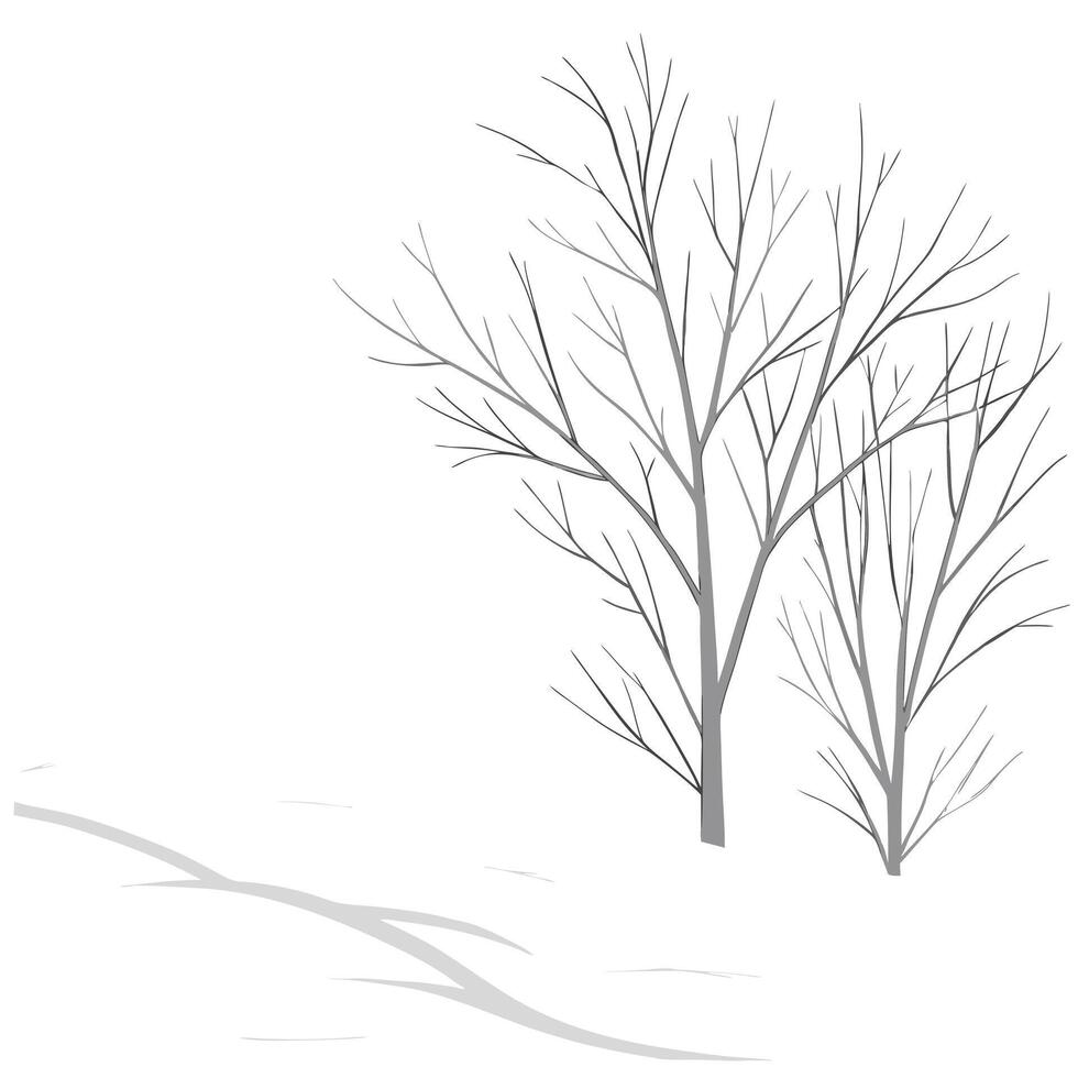 Plain White Snow Background concept as A plain white background resembling freshly fallen snow symbolizing purity and a fresh start for New Year 2026 The camera focuses on the cle Clean Pro vector