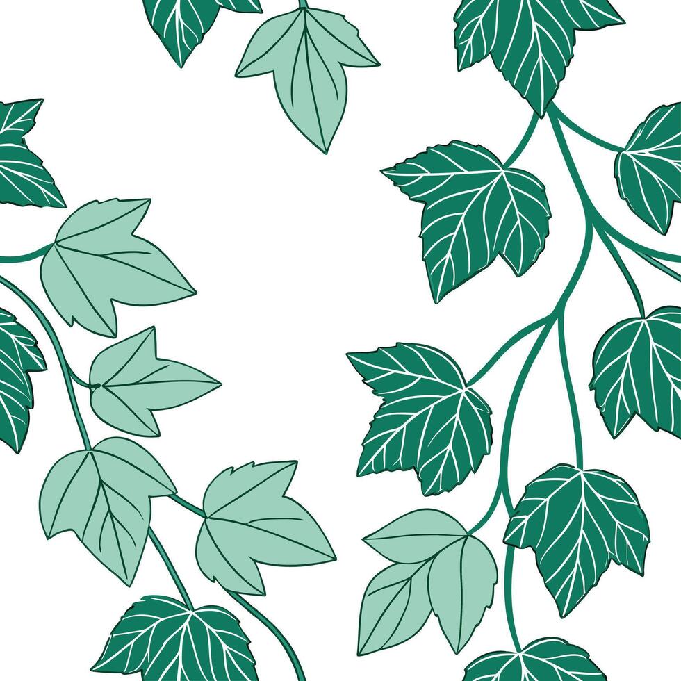 Refreshing summer leaves seamless tile pattern with mint and ivy for a clean fresh feel concept as Clean and fresh mint and ivy leaves arranged seamlessly to create a refreshing an Clean Pro vector