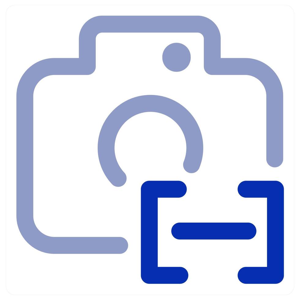 Camera and picture vector