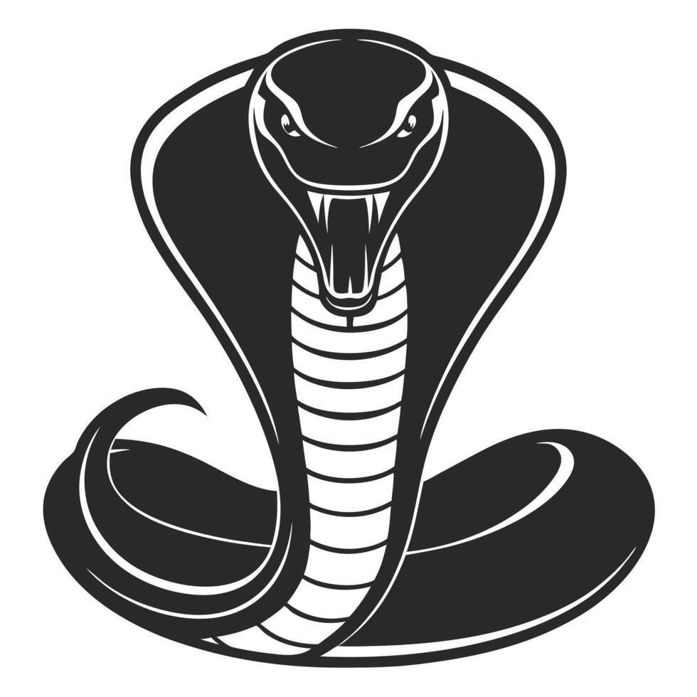 Cobra Snake Illustration With Hood Spread And Fangs Showing Isolated vector
