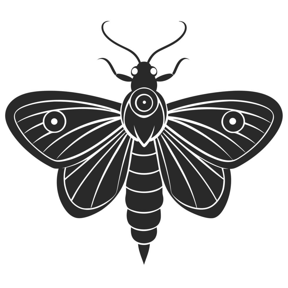 Elegant Moth Insect Graphic With Intricate Wing Pattern Illustration Art vector