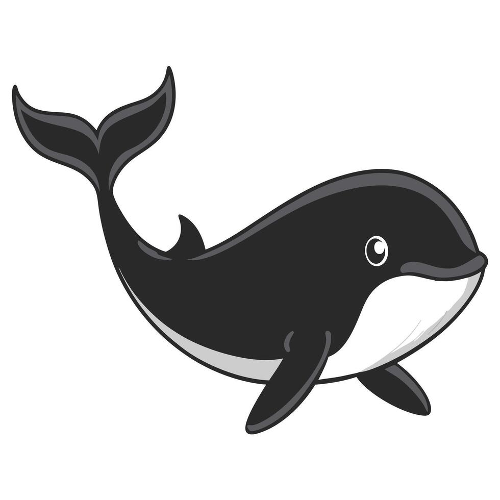 Cute Cartoon Killer Whale Illustration On A White Background Image vector