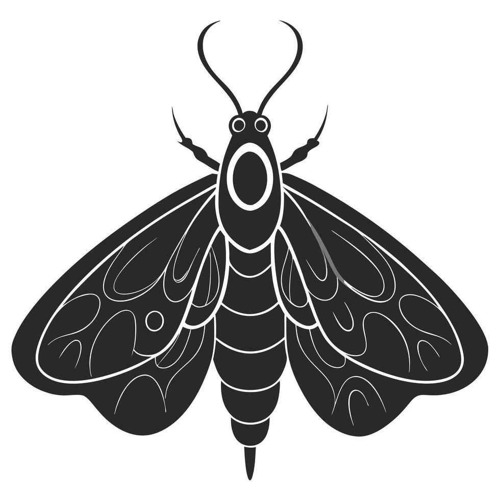 Silhouette Graphic Of Moth Insect With Abstract Wing Patterns On White Background vector