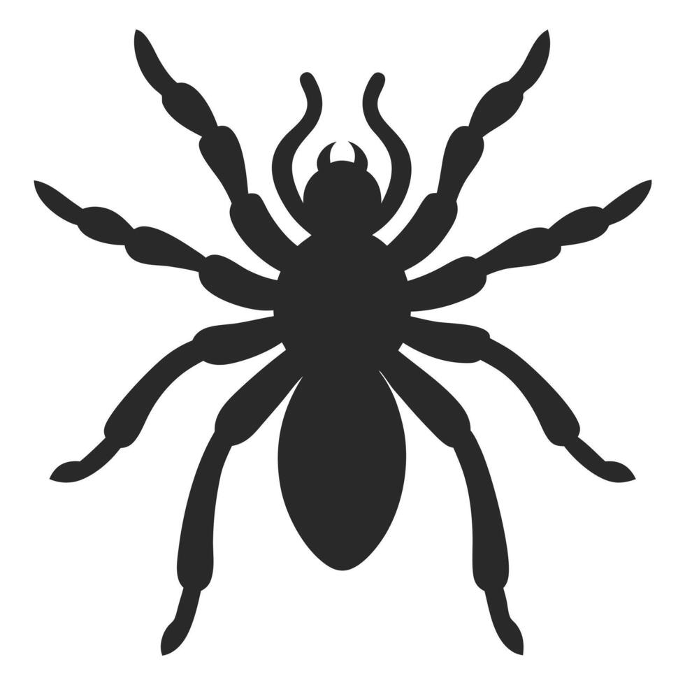 Black Spider Silhouette Graphic Design Element Arachnid Halloween Symbol Illustration vector