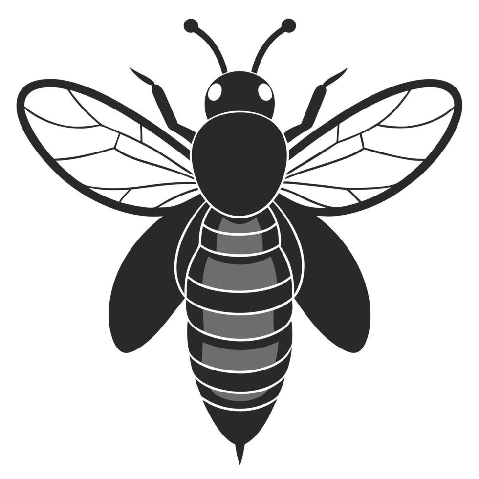 Simple Bee Illustration Black And White Graphic Design Detailed Wings And Body vector