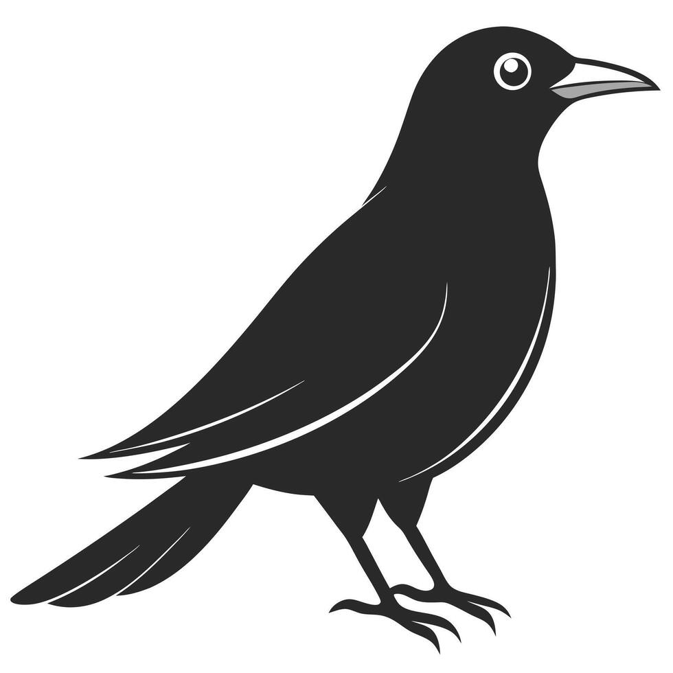 Illustration Of A Black Crow Bird Standing Isolated On White vector