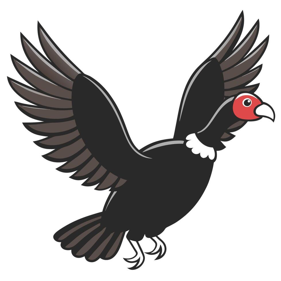 Cartoon Andean Condor Flying Illustration With Wings Spread Out Isolated vector