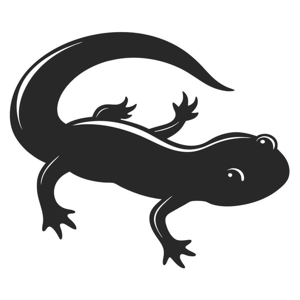 Cute Salamander Silhouette Illustration Of Amphibian Creature Isolated On White vector