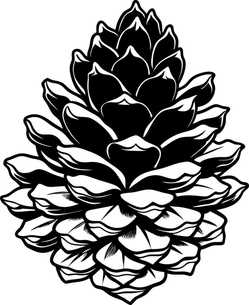 A black and white pine cone on a white background vector