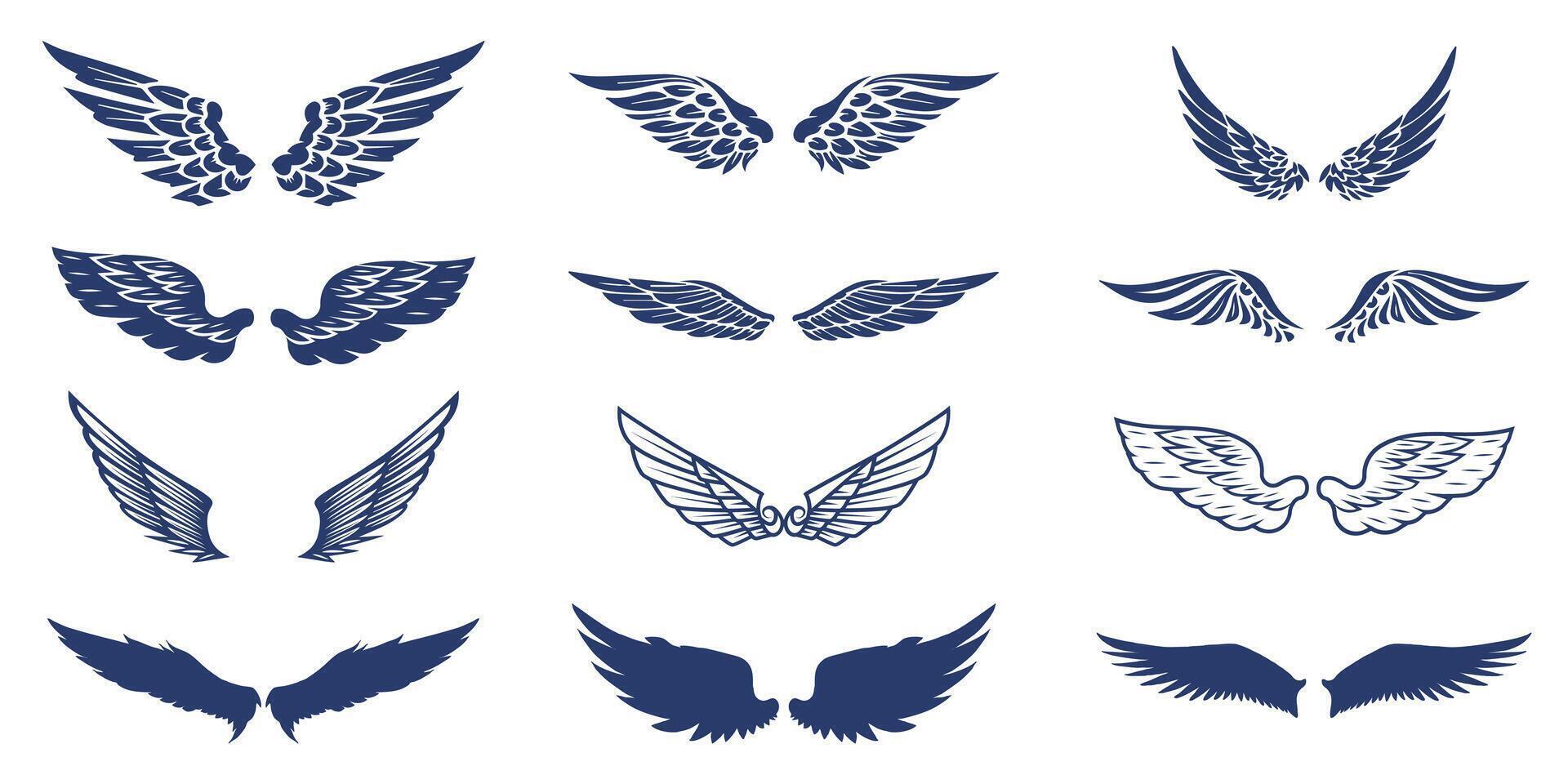 Detailed Wing Collection with Different Styles. A diverse collection of highly detailed wing designs, featuring a mix of sharp, smooth, and feathered styles. vector
