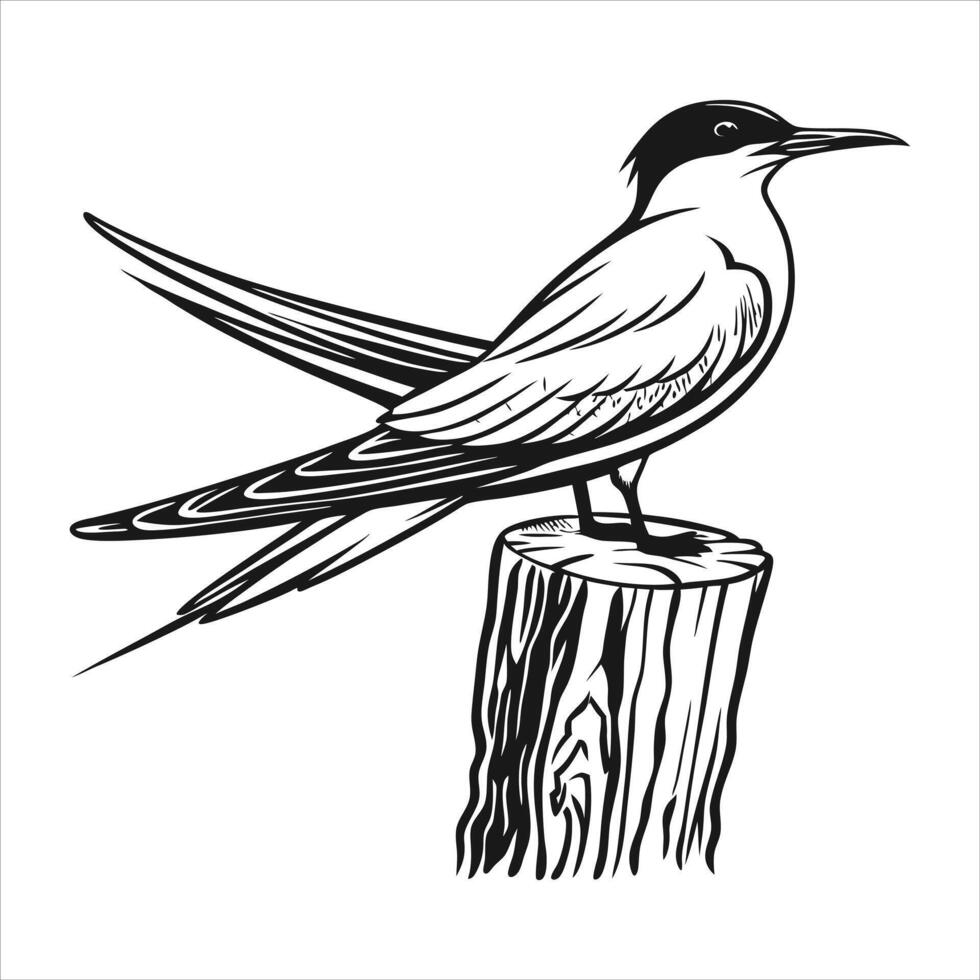 Creative Fairy Tern Linocut vector