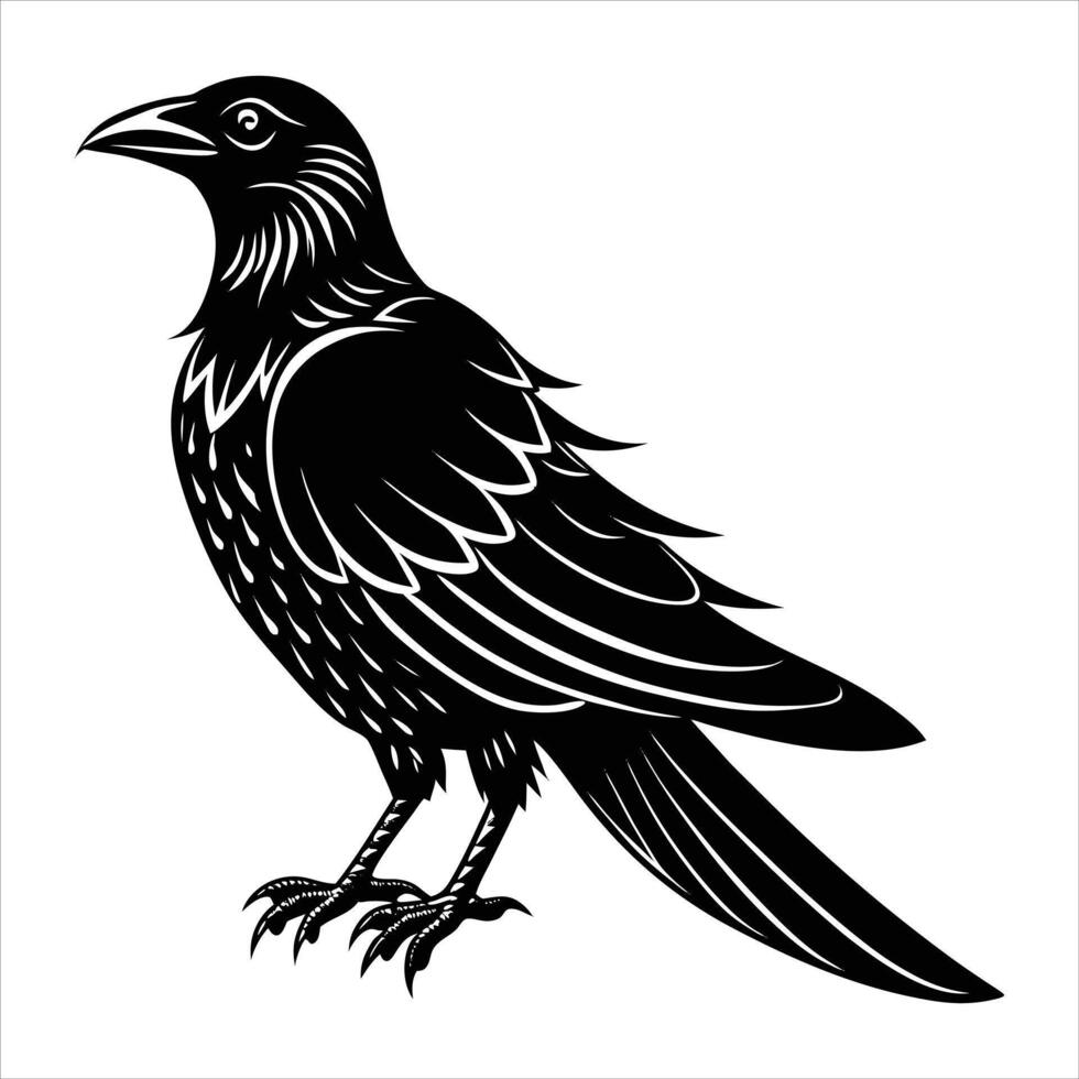 fan tailed raven corvus vector