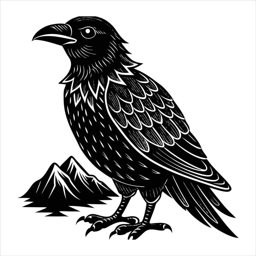 Corvus Corax Raven vector
