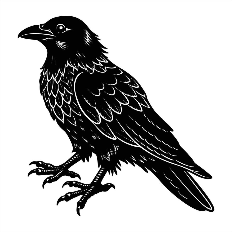 sunda raven corvus enca vector