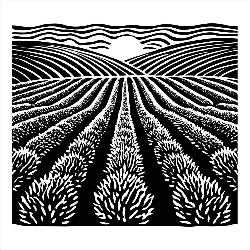 lavender field at sunset vector