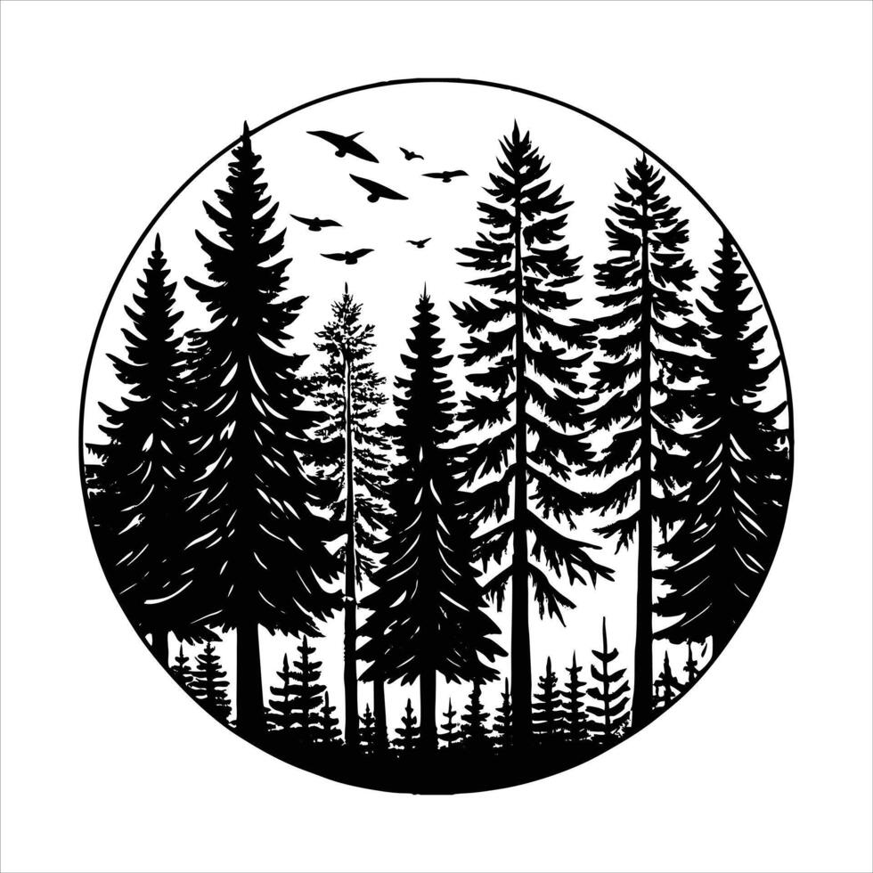 Sun Through Pine Tree vector
