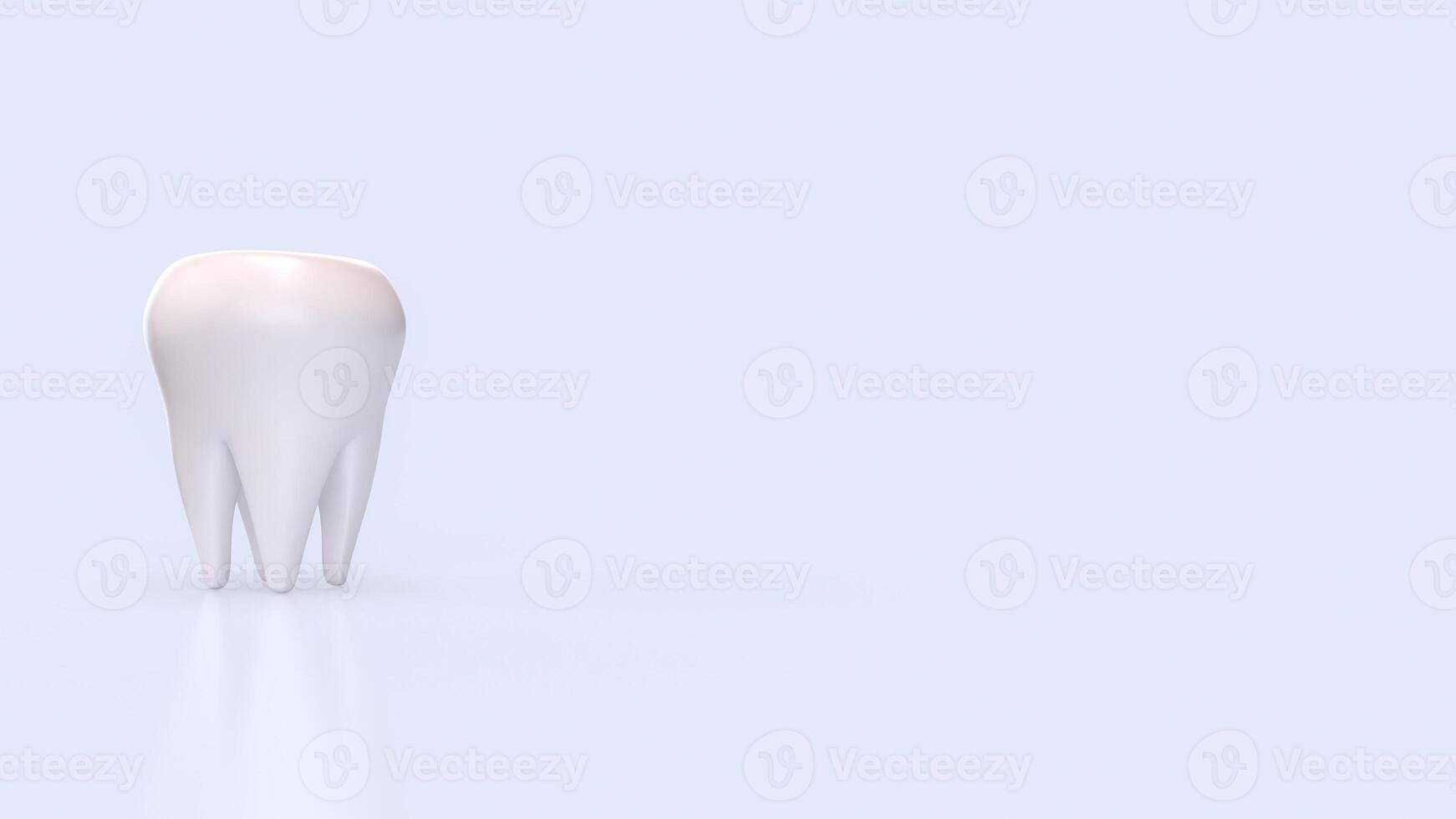 White teeth for Dental concept 3d Rendering. photo