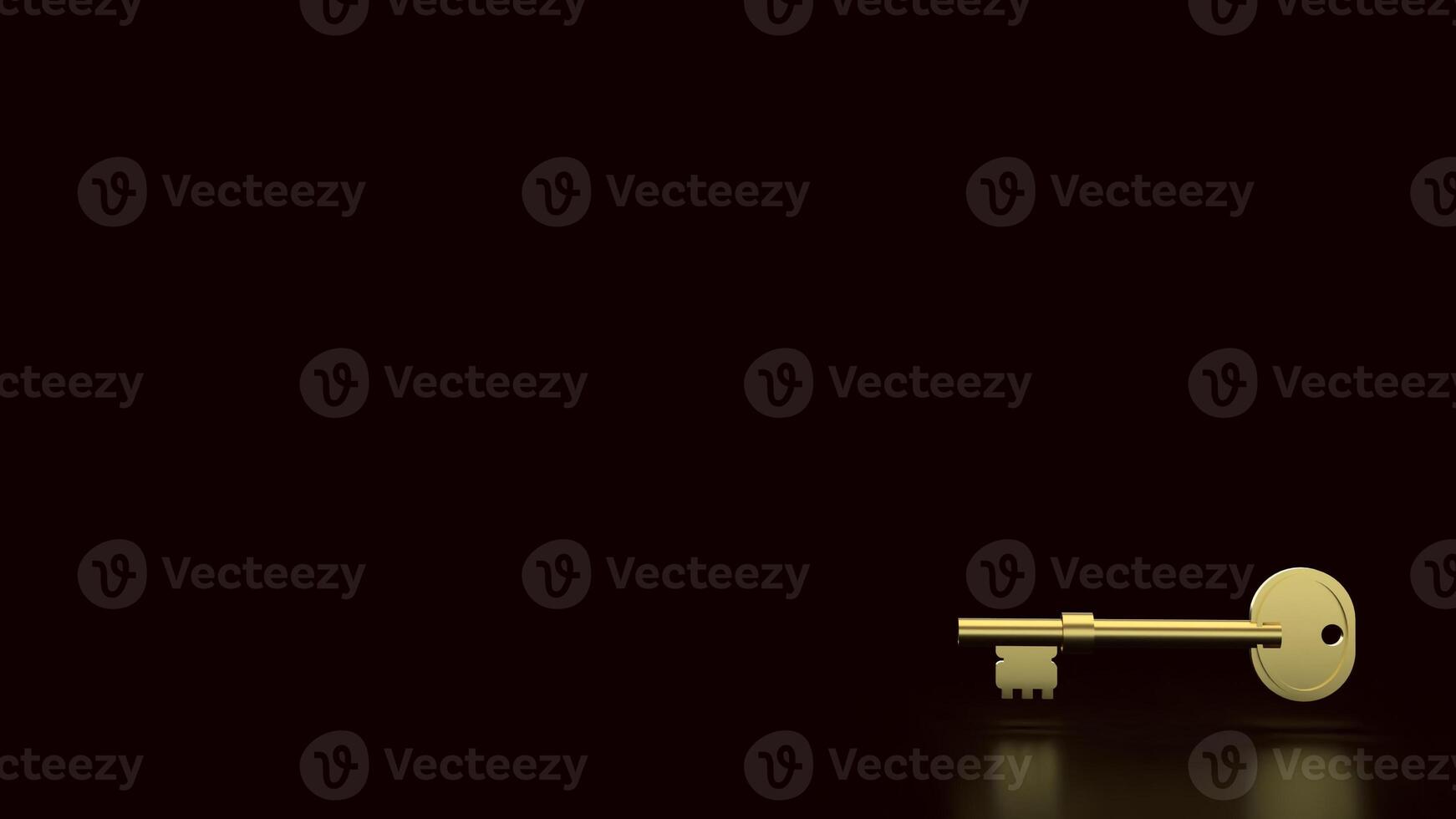 Gold key for security or business concept 3d Rendering. photo