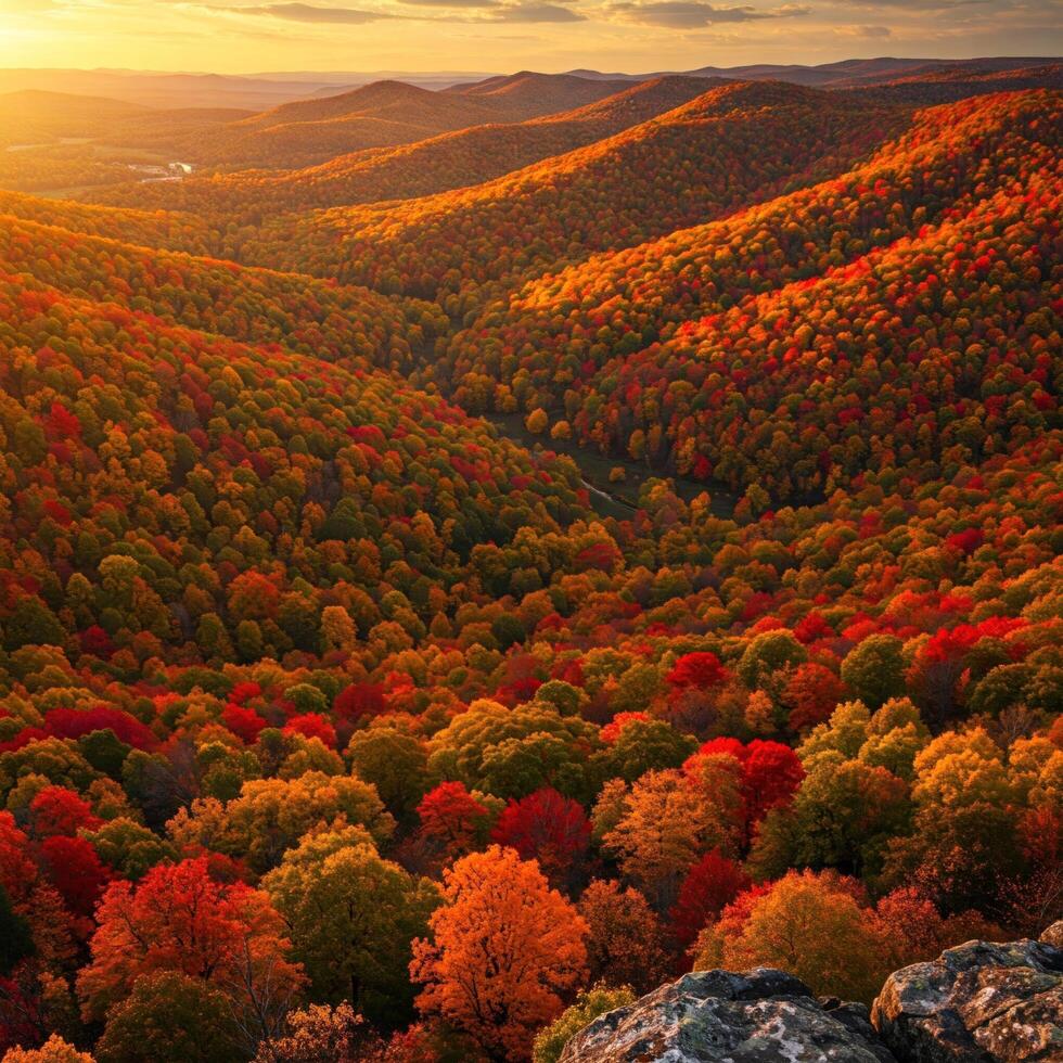 Autumn Mountain Valley Sunset Vista photo
