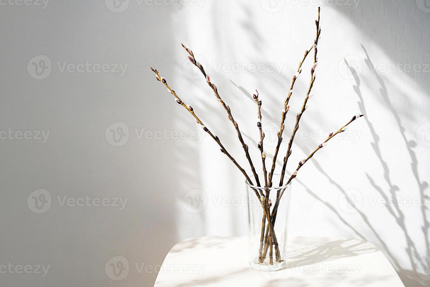 Willow Twigs In Glass Vase On White Table With Soft Light And Fancy Shadows. photo
