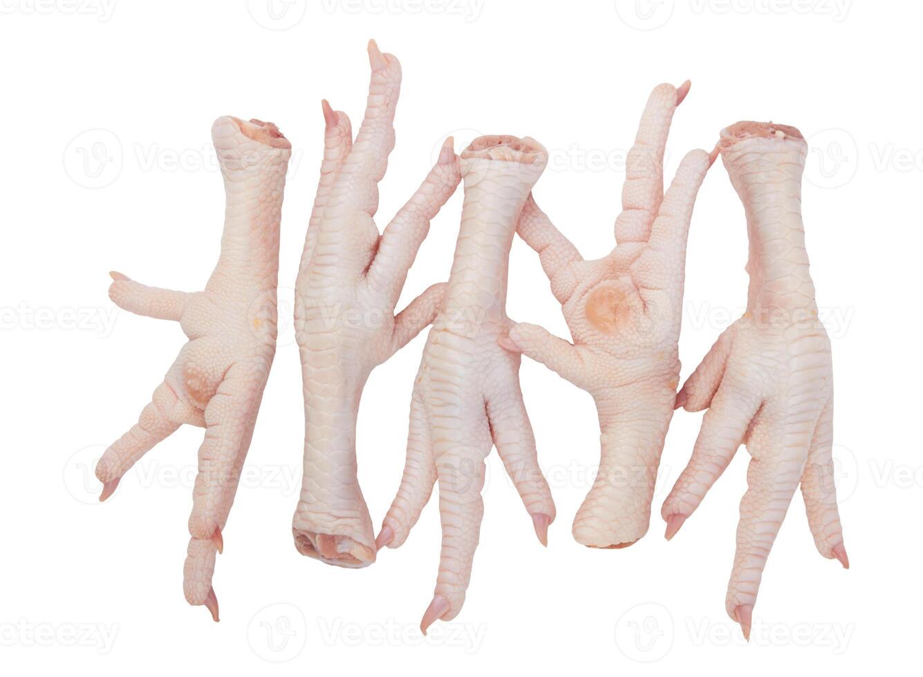 Raw chicken feet on white background photo