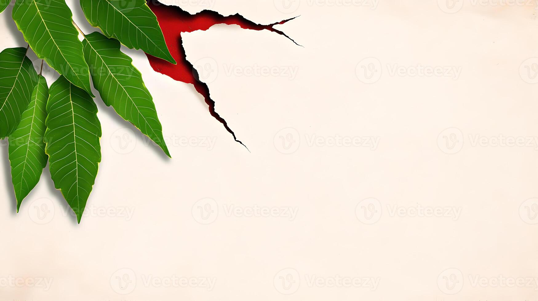 Green Leaves Emerging from Torn Creamy Paper with Red Background photo