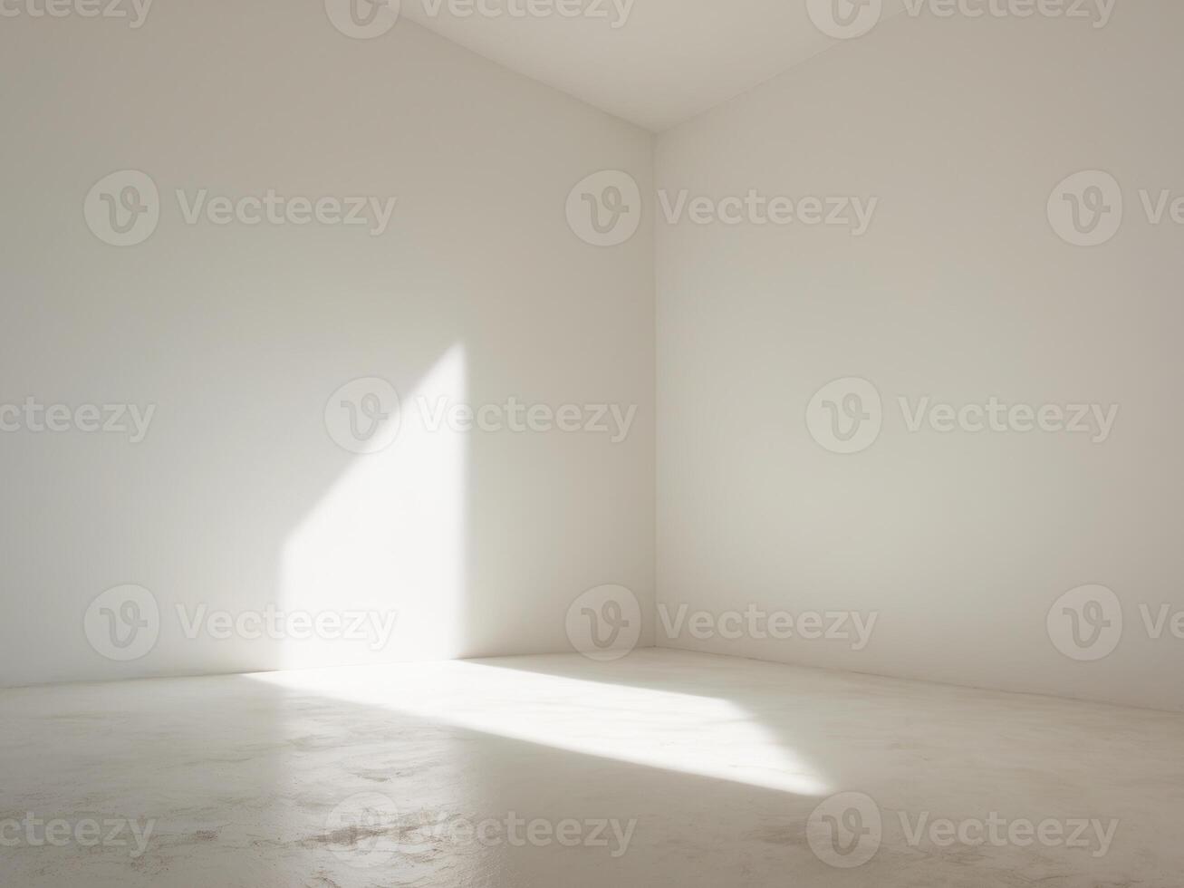 Empty room white wall floor appears to be corner photo