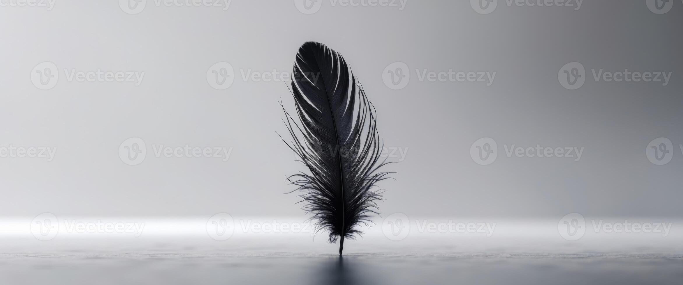 A black feather is sitting on top of a table photo