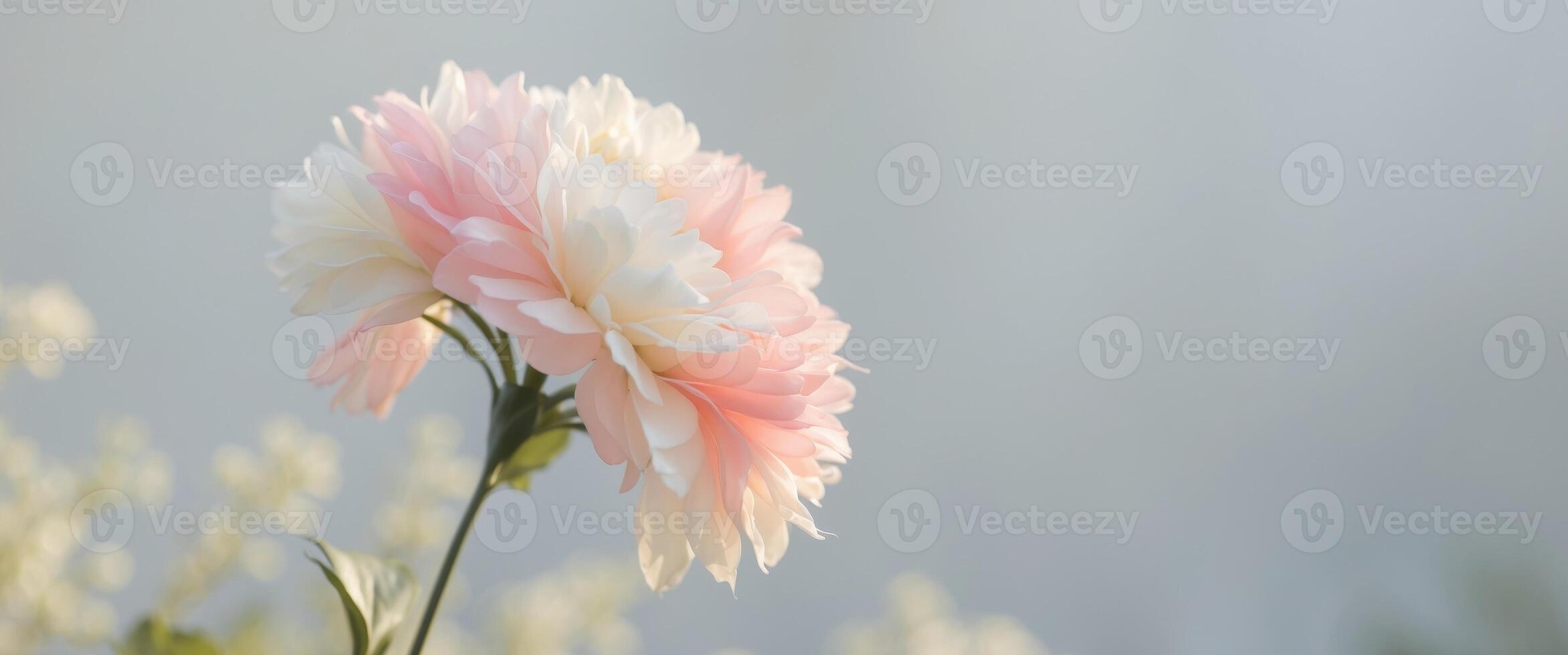 Artificial Flower with Pink and White Petals in an Outdoor Setting. photo