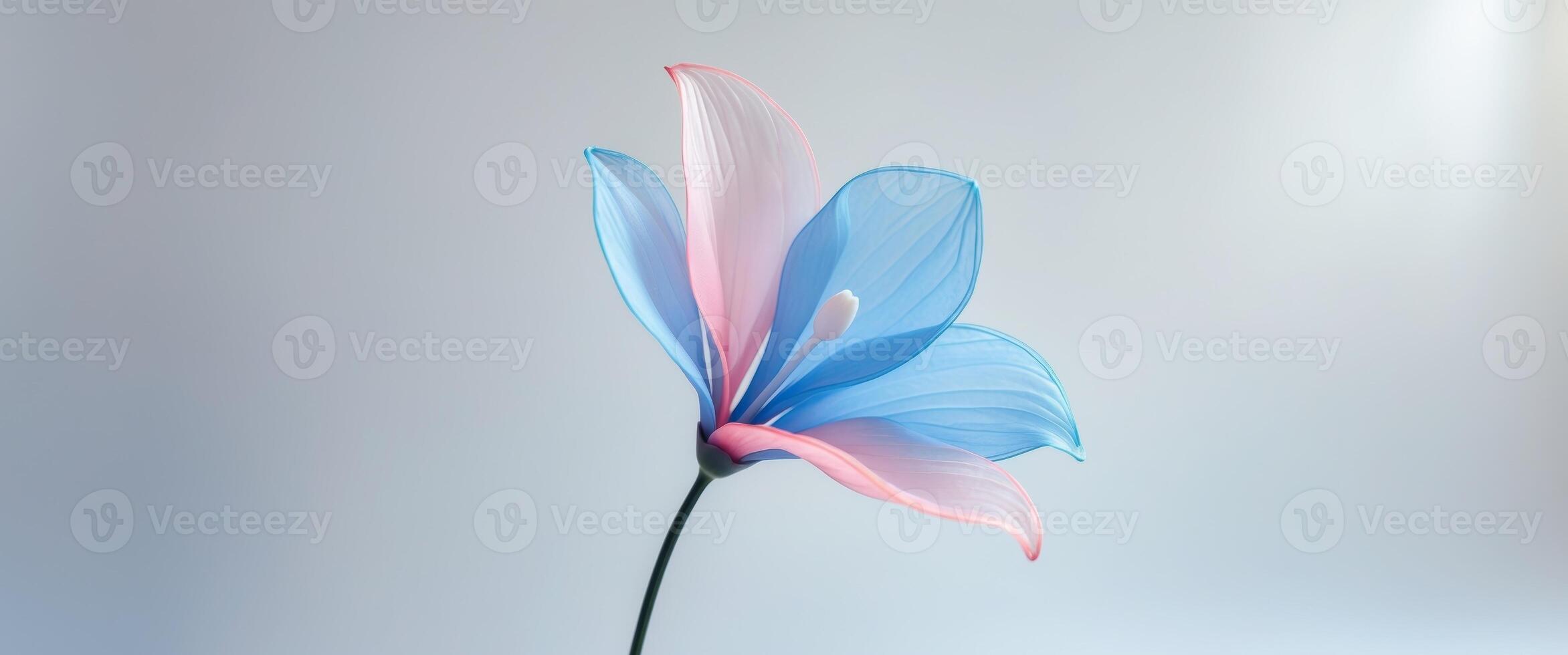 Artificial Flower with Blue and Pink Petals photo