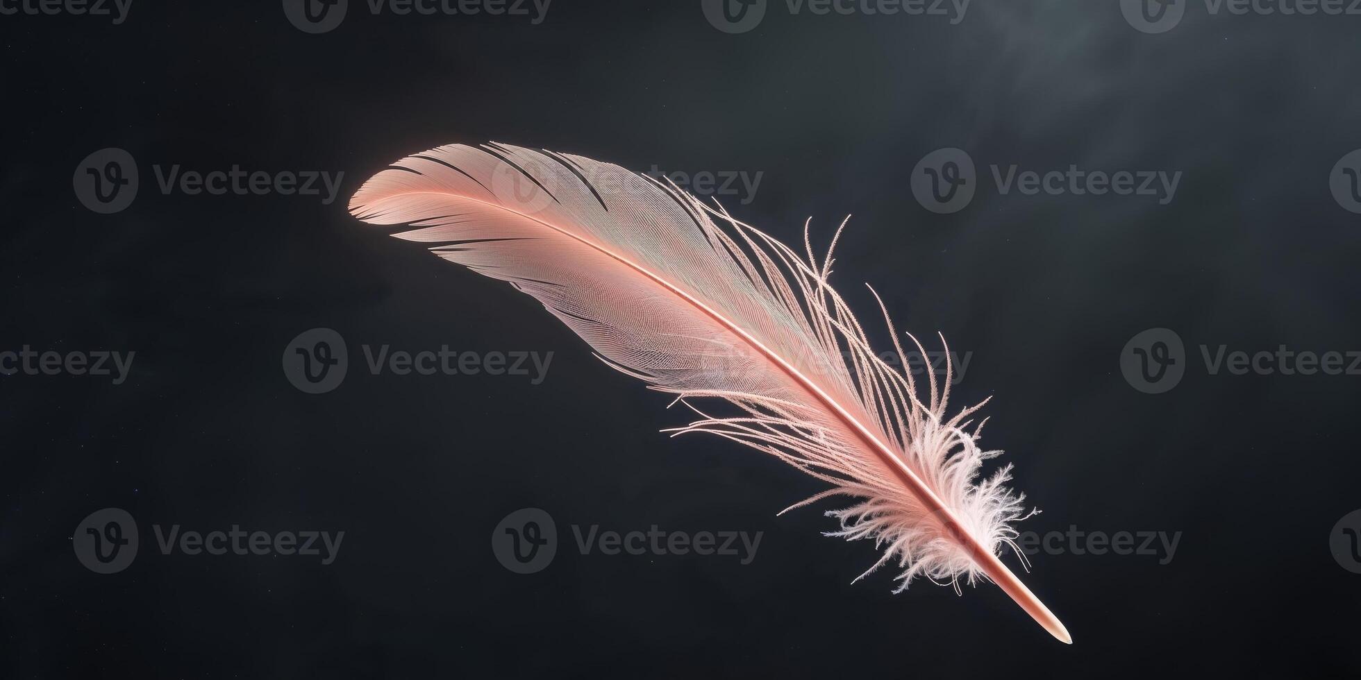 A Single Delicate Coral Feather Floating in Darkness Gentle Serenity. photo