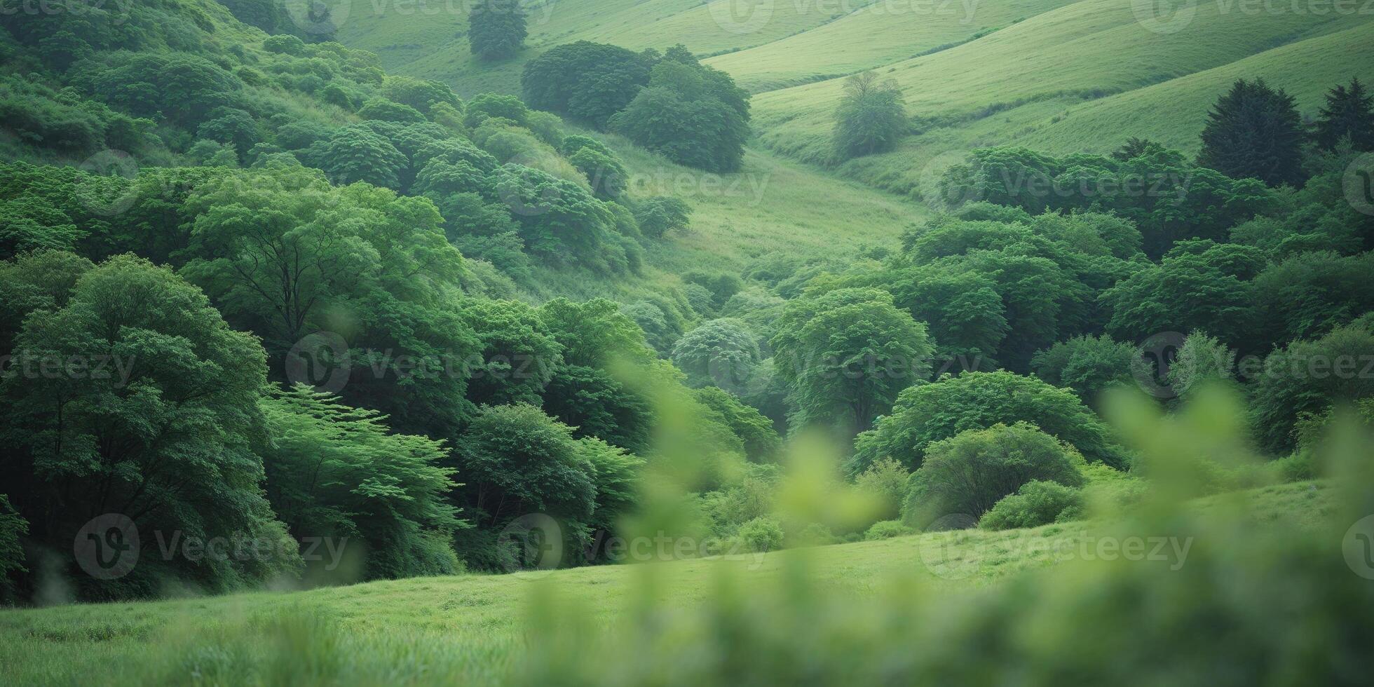 A green valley with trees and hills photo